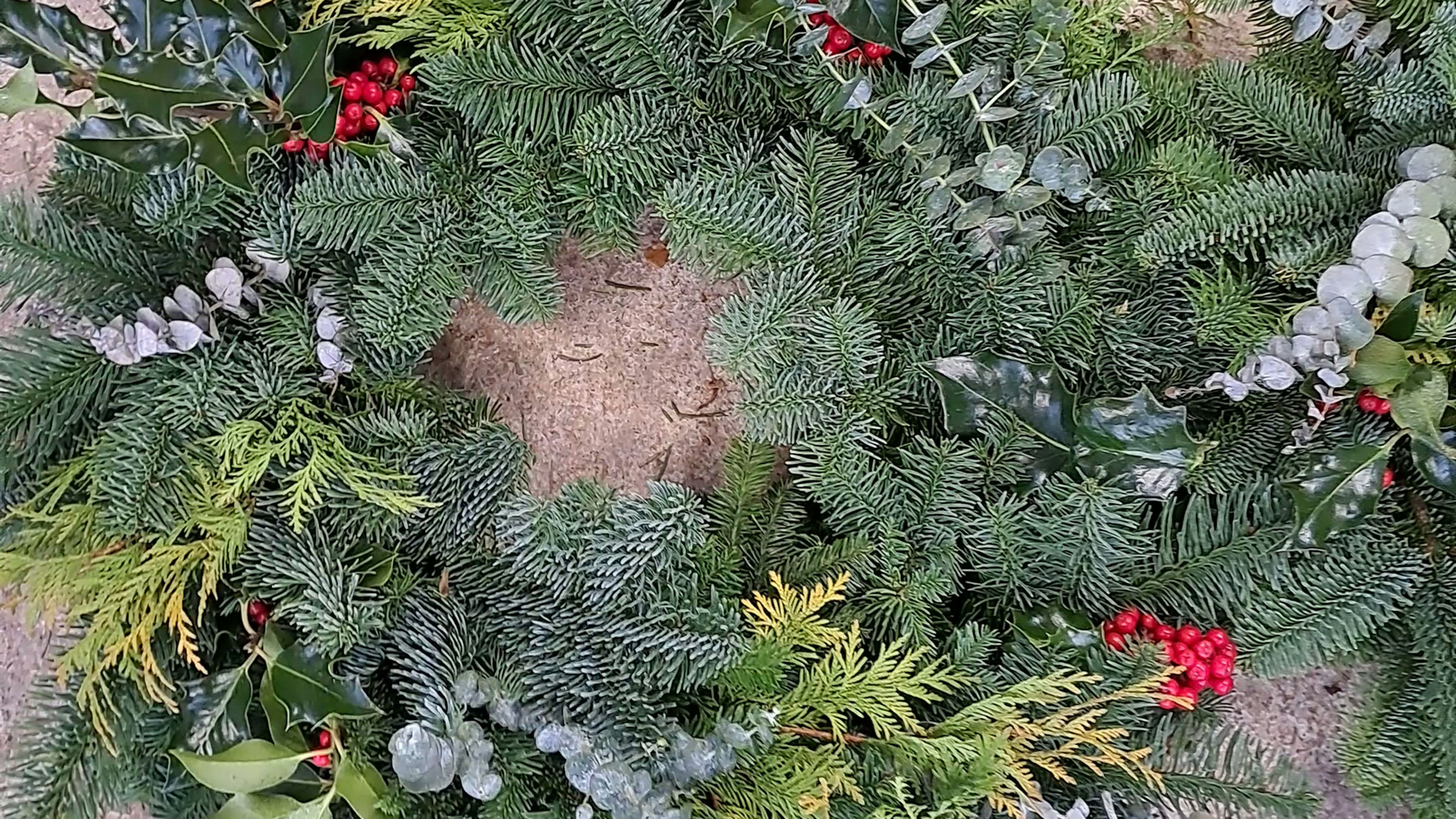 A look in side the shed